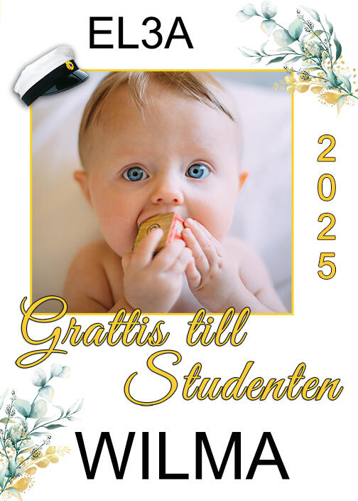 Studenten